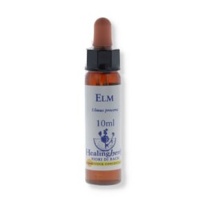 Elm Fiori Di Bach - 10 ml