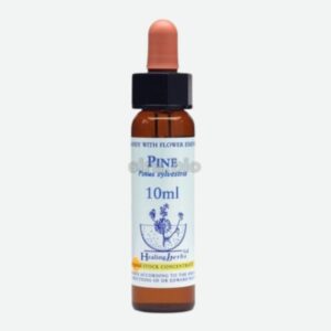 Pine - Fiori di Bach - 10 ml
