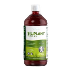 Silicium G7 Siliplant - 1 l