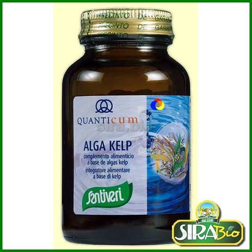 alga-kelp-112-compresse