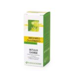 Betulla Gemme - Macerato Glicerinato - 50 ml