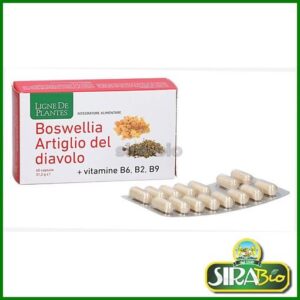 Boswellia Artiglio del diavolo Vitamine + B2+B6+B9