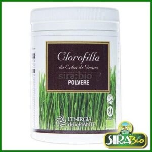 Clorofilla da erba di grano Bio - polvere da 80 g