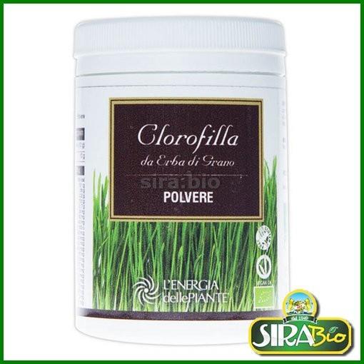 clorofilla-da-erba-di-grano-bio-polvere-da-80-g