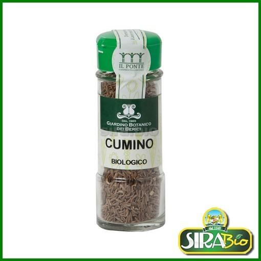 cumino-in-semi