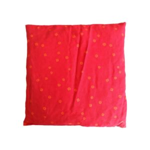 Cuscino Ai Noccioli di Ciliegio 24 x 24 cm