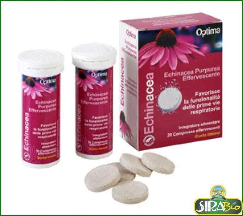 echinacea-purpurea-effervescente-20-cmp