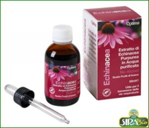 Estratto di Echinacea Purpurea in Acqua purificata NO ALCOOL 50 ml