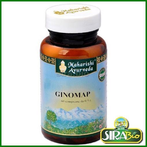 ginomap