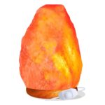 Bio Luce - Lampada di Sale Rosa dell'Himalaya da 2 - 3 kg