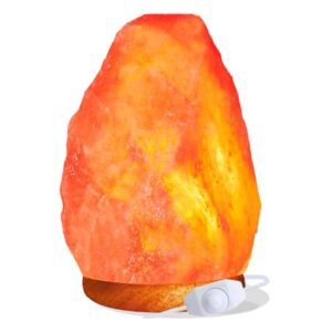 Bio Luce - Lampada di Sale Rosa dell'Himalaya da 2 - 3 kg