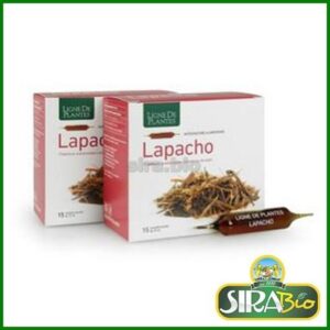 Lapacho (Tabebuia avellanedae Lorentz ex Griseb) - 15 ampolle bevibili da 15 ml
