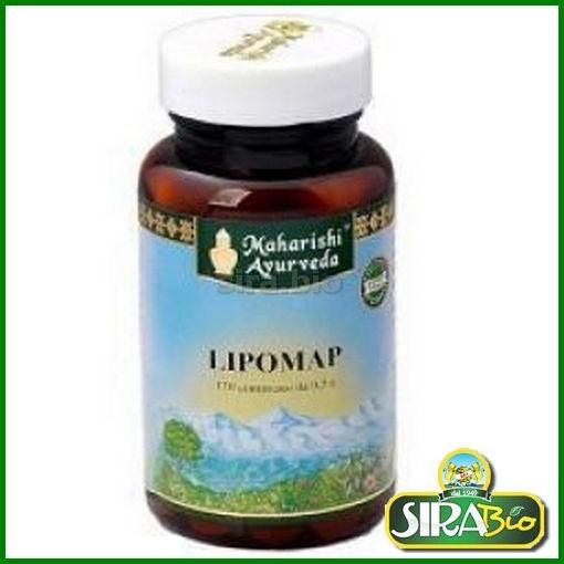 lipomap-p