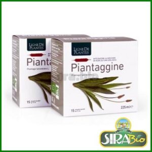 Piantaggine Ampolle da 15ml