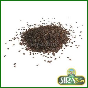 Psillio Semi Neri Lucenti - 100 gr