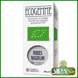 Ribes Nigrum Bio Ecogemme - 50ml