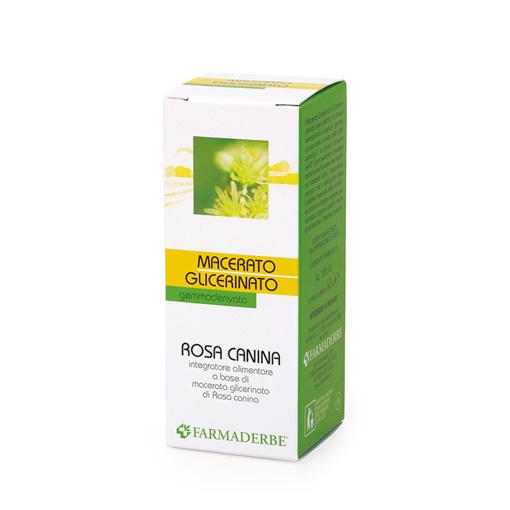 rosacanina3333