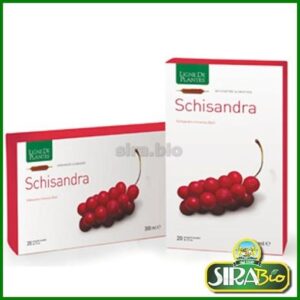 Schisandra - 20 ampolle da 15 ml