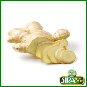 Zenzero Fresco - Bio - 150 g
