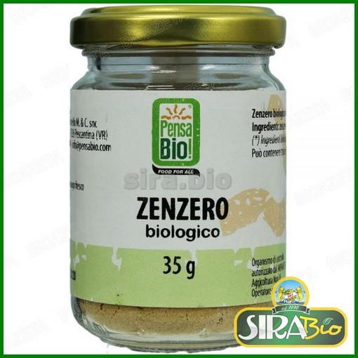 zenzero-in-polvere-bio-35-g