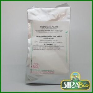 Zenzero Rizoma in Polvere - 500 g